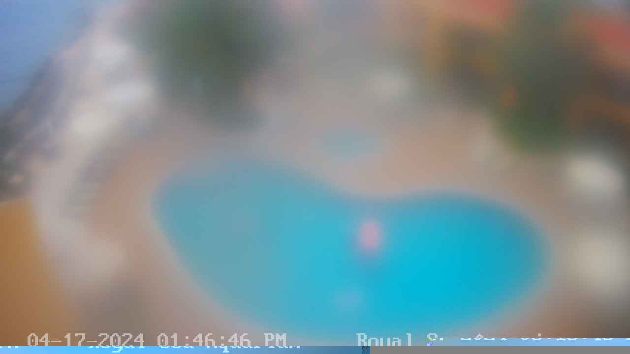 Webcam at The Royal Sea Aquarium Resort
